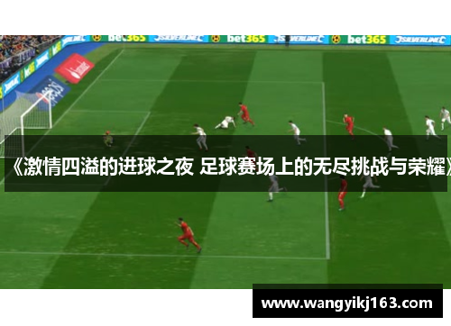 《激情四溢的进球之夜 足球赛场上的无尽挑战与荣耀》