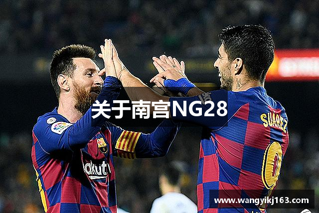 关于南宫NG28